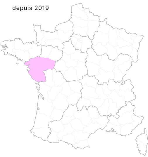 bg